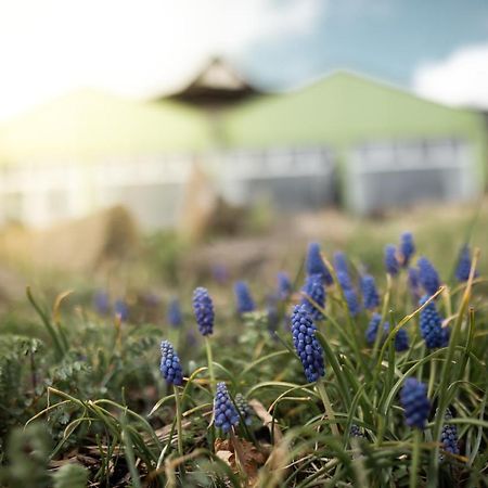 Hotel Froehlich-Hoeche Uslar Eksteriør bilde